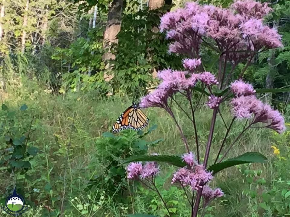 Cedar River Golf Course