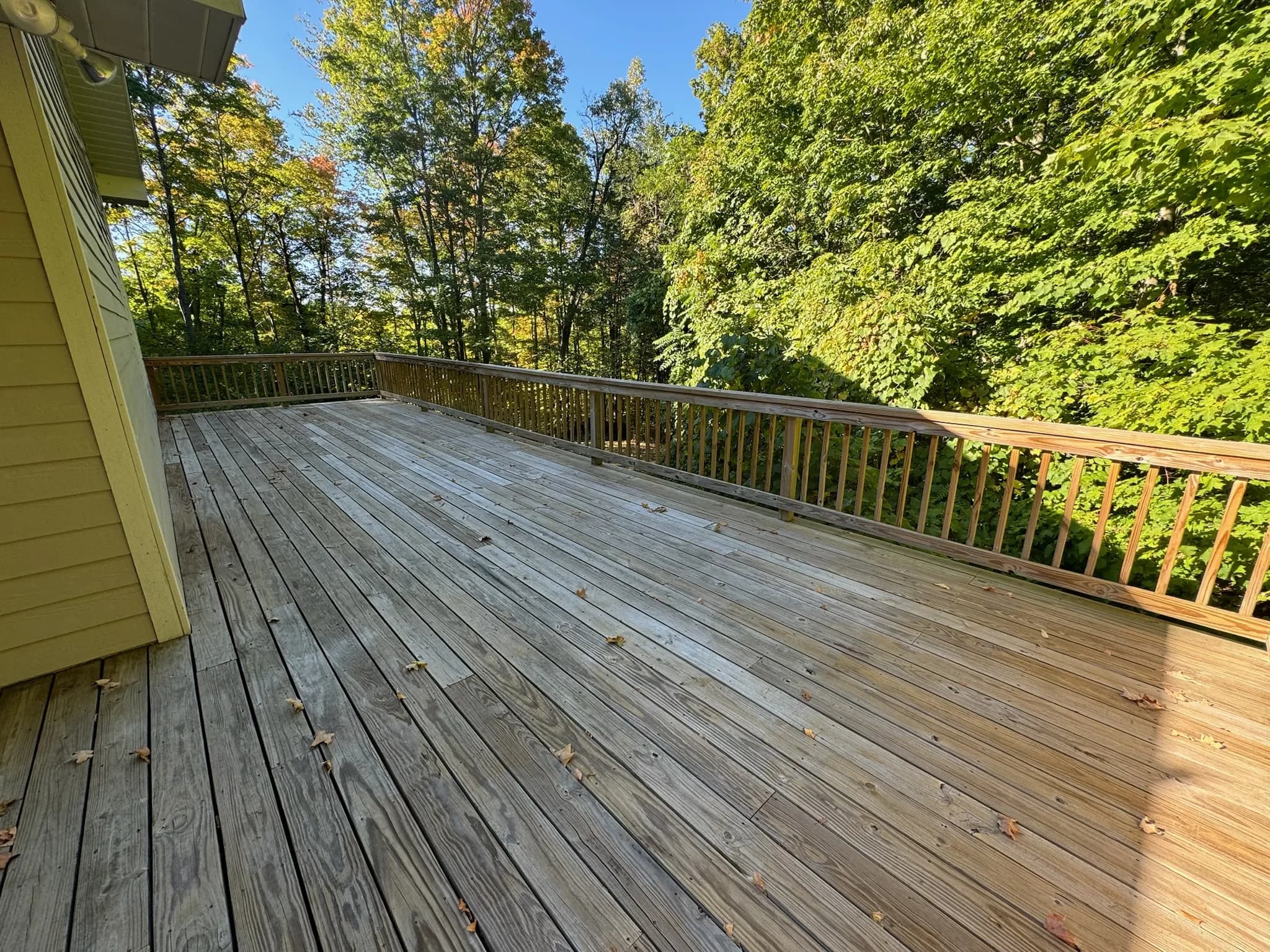 Wrap-around deck overlooking the woods