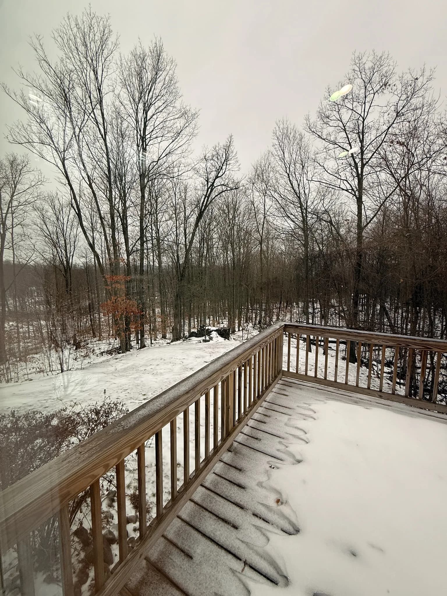 Dining Deck View