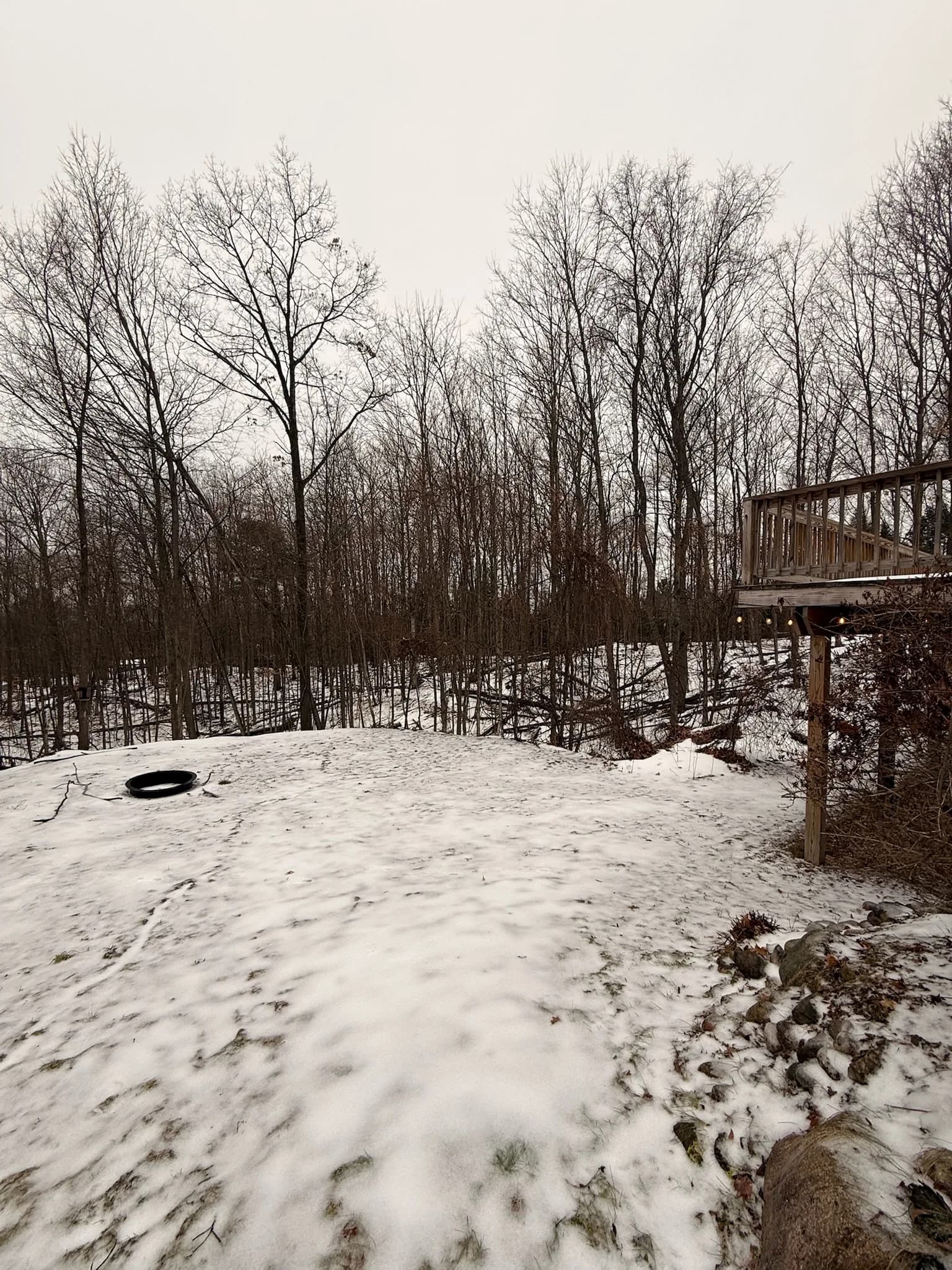 Fire Pit Winter